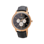 Men's Blue Analog Leather Watch TWEG17414