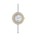 Titan Quartz Analog Watch for Women
Mother of Pearl Dial with Two-Tone Metal Strap