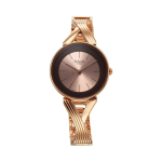 Titan Raga Analog Watch for Women
Rose Gold Dial with Matching Metal Strap