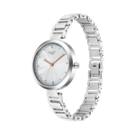 Titan Raga Memoirs Women’s Quartz Analog Watch Silver Dial with Matching Stainless Steel Strap - Image 4