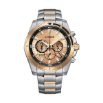 Citizen Men's Chronograph Watch
Two-Tone Stainless Steel