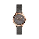 Fossil Laney Women’s Watch BQ3393
Three-Hand Rose Gold Stainless Steel