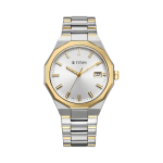 Titan Regalia Dodecagon Silver Dial Analog Watch for Men Two-Tone Stainless Steel Strap