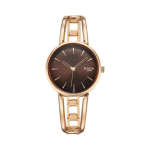 Titan Raga Afterglow Women’s Watch Brown Dial & Rose Gold Metal Strap